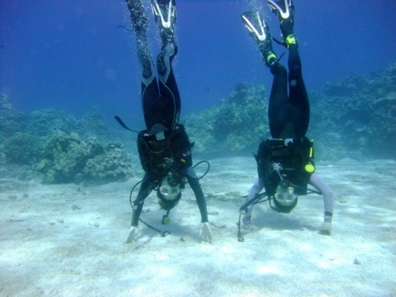 サイパン ダイビング