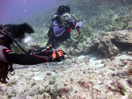 サイパン ダイビング