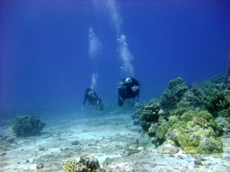 サイパン ダイビング