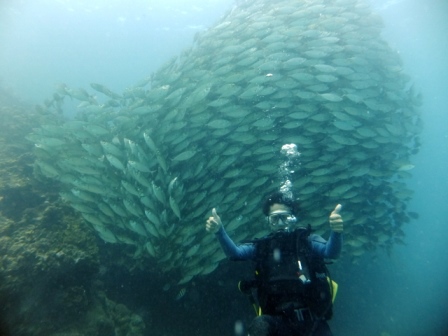 サイパン ダイビング