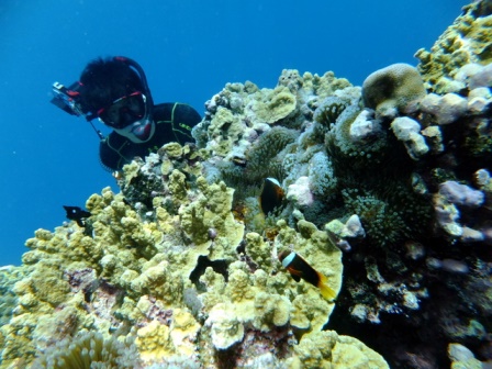 サイパン ダイビング