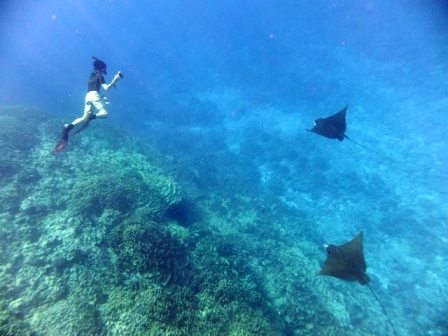 サイパン ダイビング