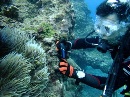 サイパン ダイビング