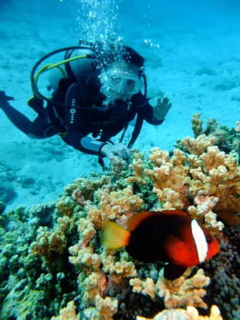 サイパン ダイビング