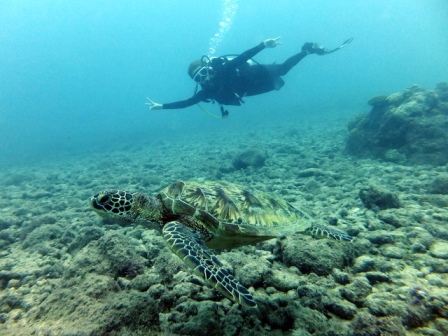 サイパン ダイビング