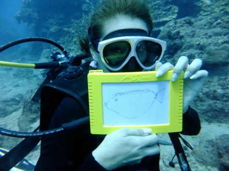 サイパン ダイビング