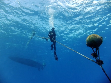 サイパン ダイビング