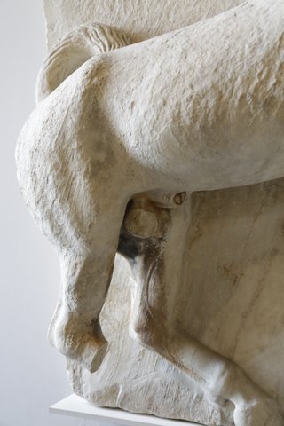 パルテノン神殿の南第十メトープ