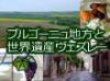 ブルゴーニュ地方へ！
シャブリの白ワインと世界遺産のヴェズレー村（昼食付き）