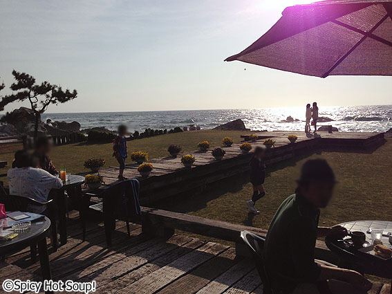 ワンコとおでかけ 海を一望できるビーチカフェ Mare 福井 越前海岸 野菜ソムリエプロrieさんの旅行ブログ トラベルコ