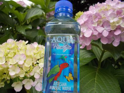 アクア・パシフィック Aqua Pacific♪ アクアパシフィック