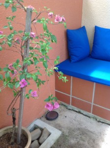 ランカウイ カサデルマール7