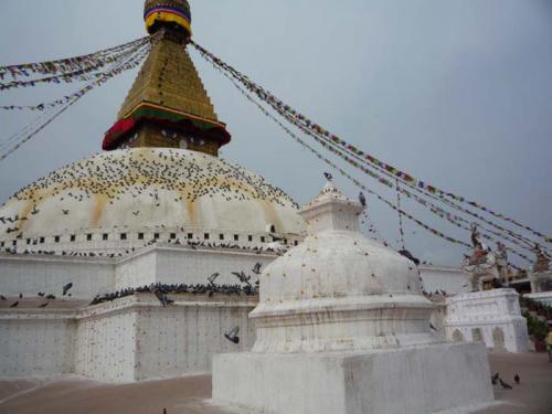 2014・06・26ボウダ４