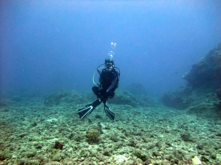サイパン ダイビング