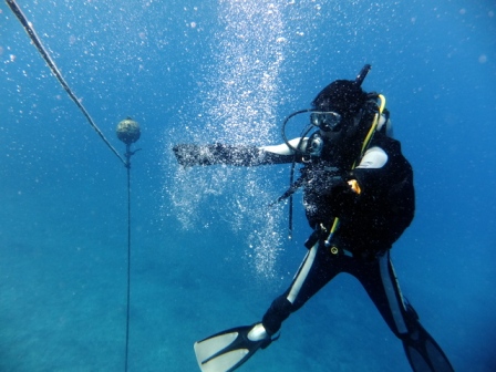 サイパン ダイビング