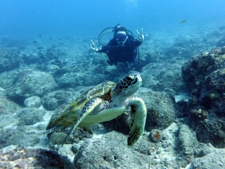 サイパン ダイビング