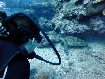 サイパン ダイビング