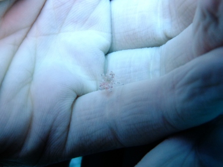 サイパン ダイビング