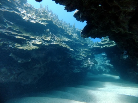 サイパン ダイビング