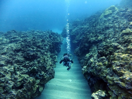 サイパン ダイビング