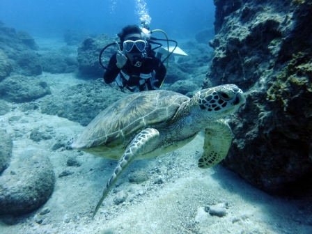 サイパン ダイビング