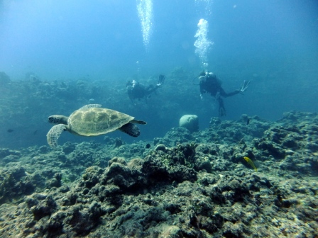 サイパン ダイビング