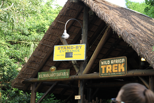 【サファリ】スタンバイ