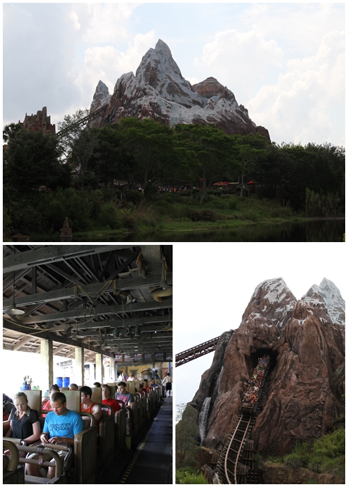 【アニマルキングダム・全体】エベレスト