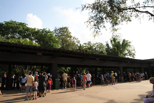 【アニマルキングダム・全体】入口