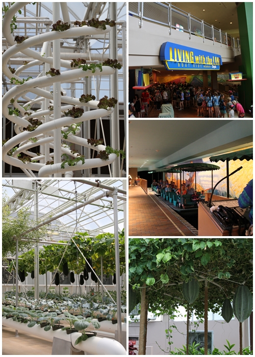 【エプコット・全体】リビングウィズ