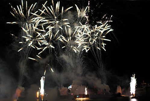 【エプコット・全体】花火