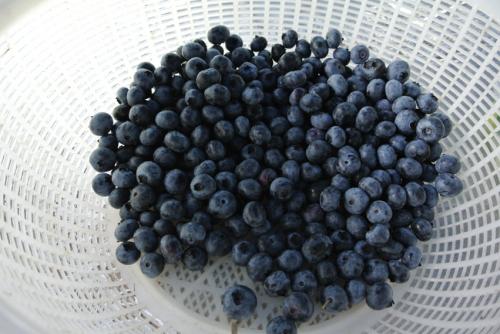 山形村での楽しい1日の過ごし方1-002