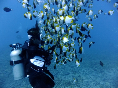 サイパン ダイビングライセンス