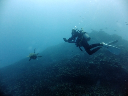 サイパン ダイビング