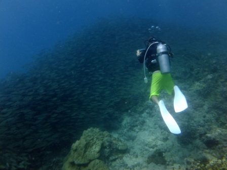 サイパン ダイビングショップ