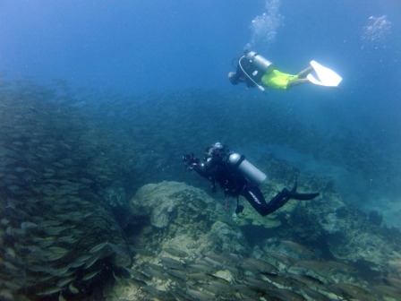 サイパン ダイビング