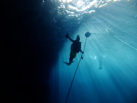 サイパン ダイビングショップ