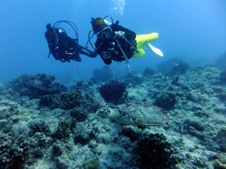 サイパン 体験ダイビング