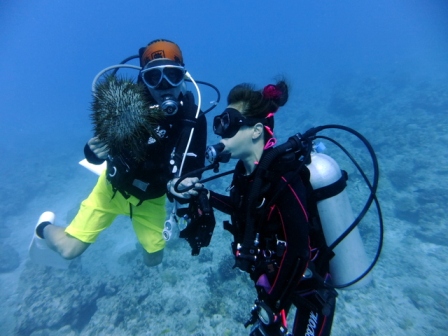 サイパン ダイビングライセンス