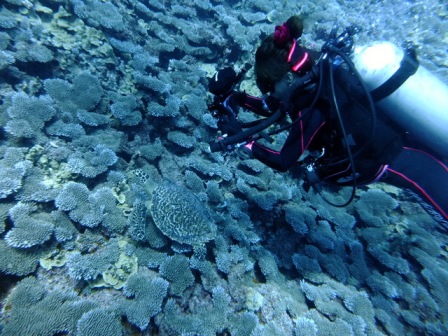 サイパン ダイビングショップ