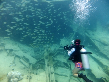 サイパン ダイビングライセンス