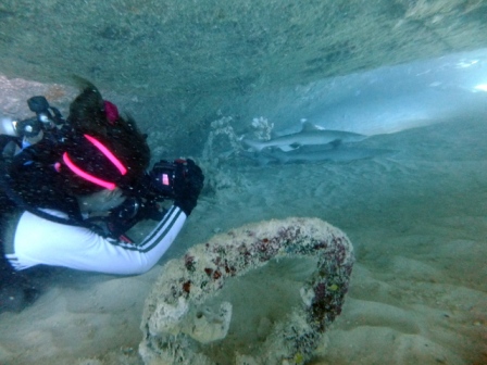 サイパン ダイビング