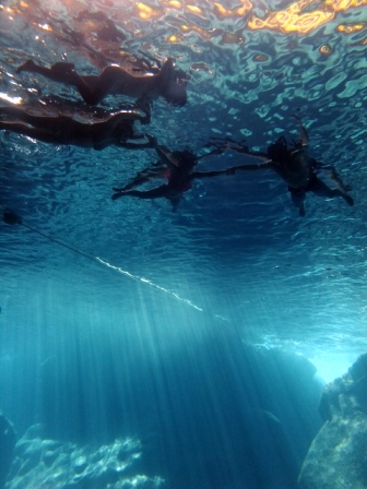 サイパン ダイビングライセンス