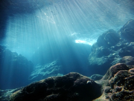 サイパン ダイビングショップ