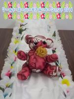 エセラスーパーモデル