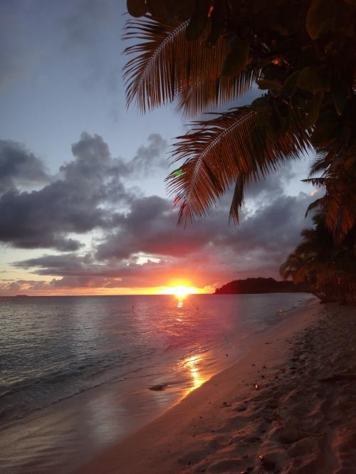 フィジーの朝日! 朝日7.14