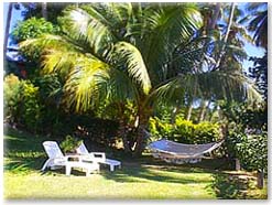 ココナツグローブハンモック