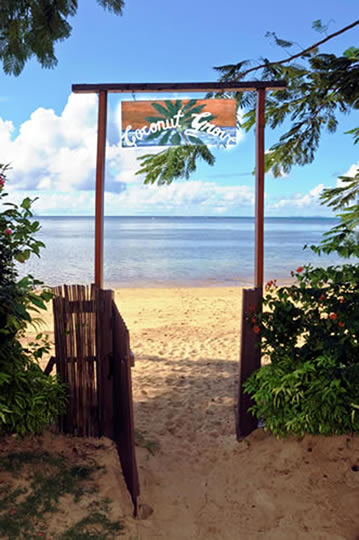 ココナツグローブプレート