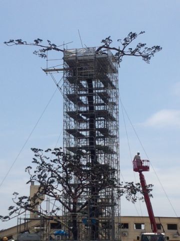 奇跡の一本松2013年6月