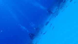 サイパンダイビング